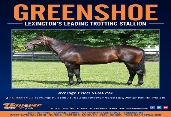 Greenshoe Lexington